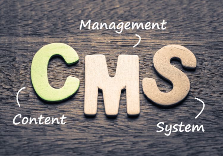 CMS website design